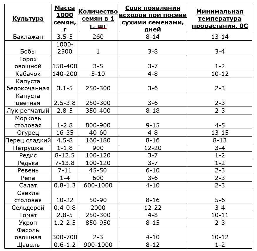 Как вырастить ранний щавель