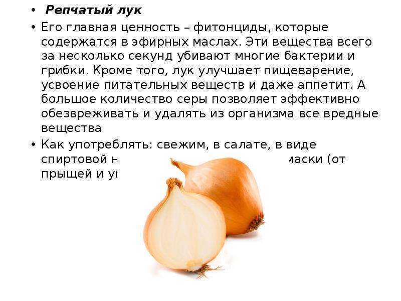 Если есть лук каждый день, что будет: можно ли есть много ежедневно, полезно ли кушать сырой репчатый, вредно ли частое употребление, дает ли эффект молодости