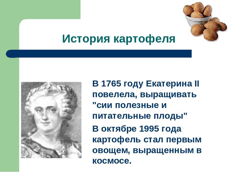 Этот нерусский картофель. непридуманная история русских продуктов от киевской руси до ссср