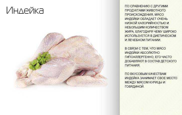 Рецепты диетических супов для диеты «5 стол»
рецепты диетических супов для диеты «5 стол»
