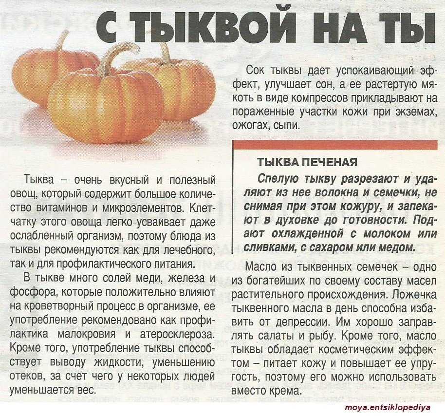 Выращивание тыквы: хитрости и секреты большого урожая
