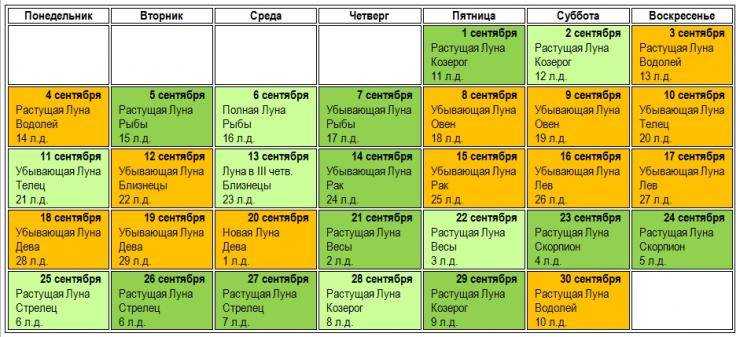 Уборка и хранение свёклы – когда и как | мир садоводства