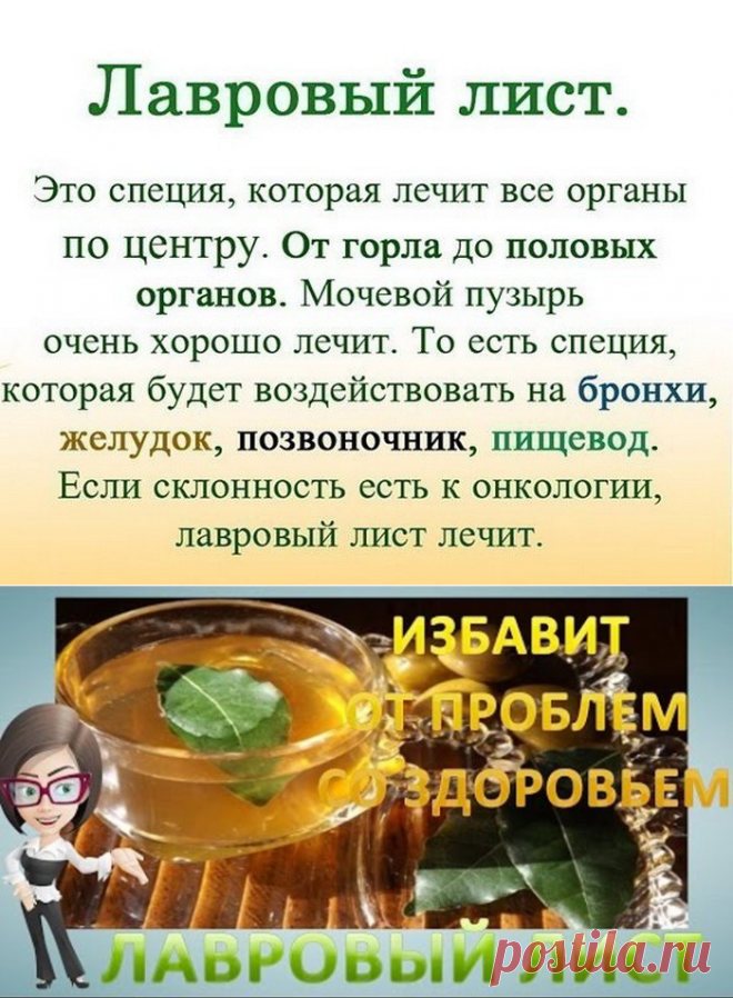 Как приготовить свиной желудок – 6 вкусных рецептов в домашних условиях