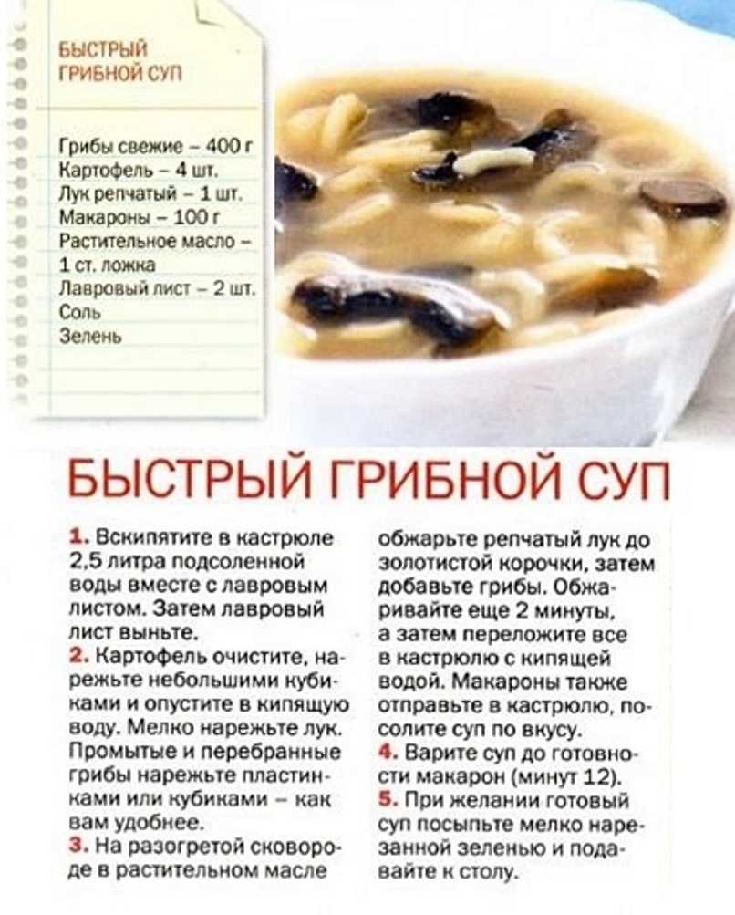 Грибной суп в мультиварке редмонд из свежих и сушеных грибов
