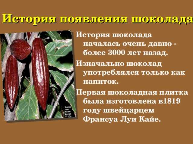 Какао порошок – польза и вред для здоровья: 13 полезных свойств и противопоказания