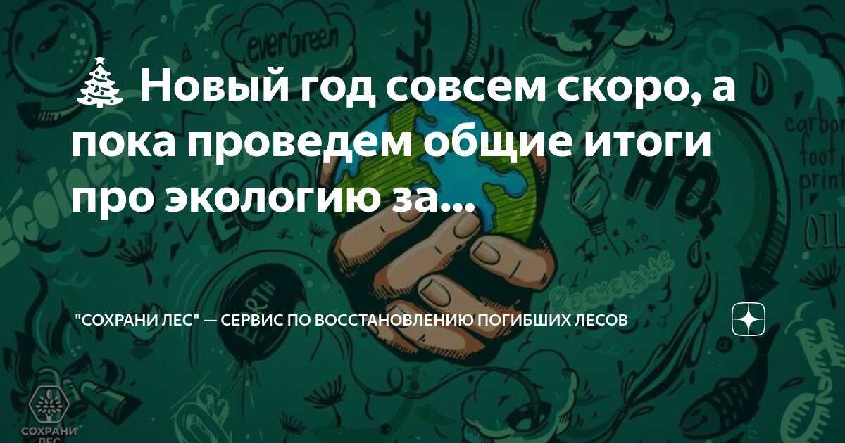 Сбер сохраняет и восстанавливает леса