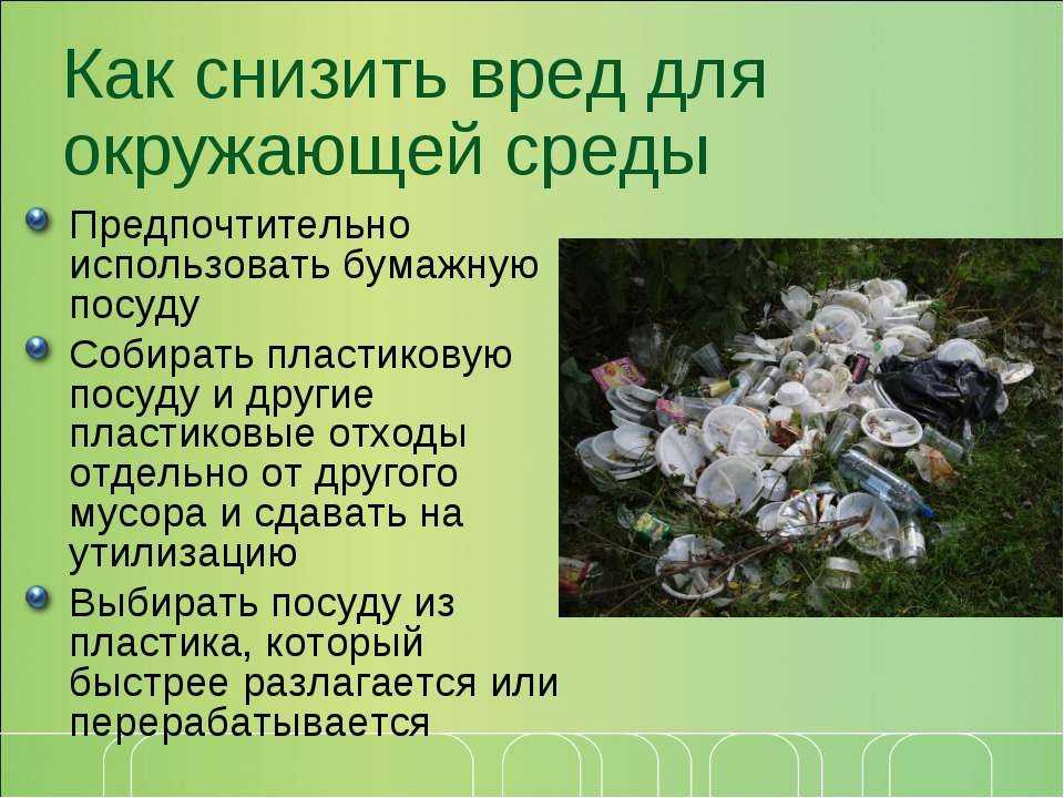 Как владельцы «свалки» планируют заработать 100 миллионов рублей за год на вывозе ненужных вещей - «жажда» - бизнес-журнал