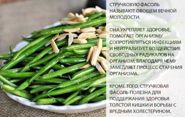 15 способов, как приготовить вкусную стручковую фасоль