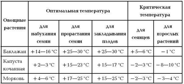 Боится ли рассада капусты заморозков: инструкция о сроках высадки, 4 правила высадки и уход