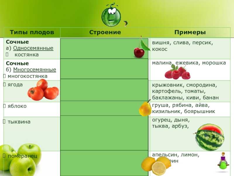 Как давать комбикорм курам-несушкам – можно ли заваривать сухой