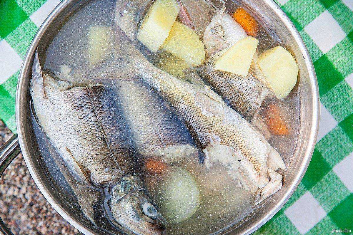 Уха из стерляди в домашних условиях - просто, быстро и вкусно