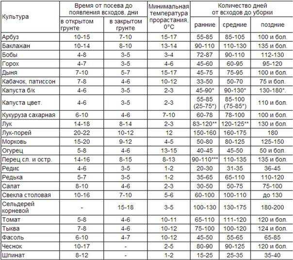 Узнайте, почему щавель не всходит долго или совсем, что делать, чтобы ростки быстро появились, на какой после посева день начинается прорастание, как правильно посеять Дано описание и фото сеянцев