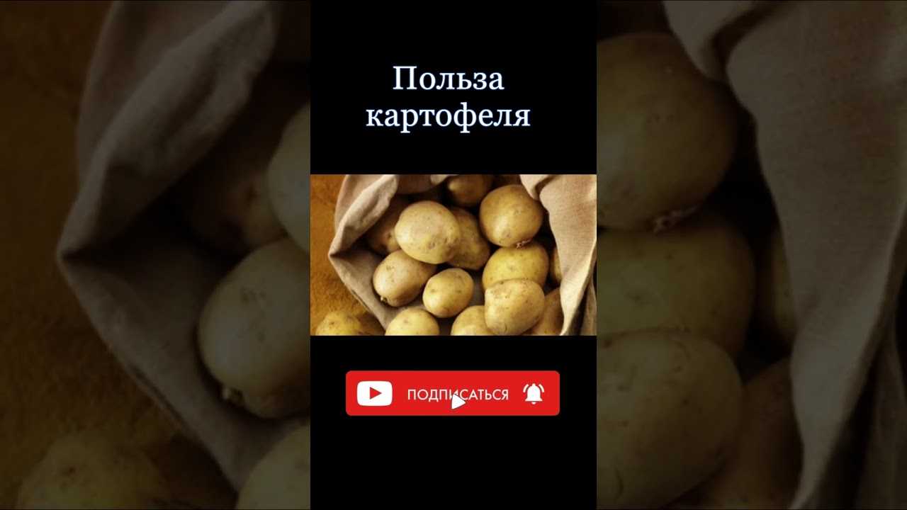 Польза и вред картофеля — 7 фактов о его влиянии на здоровье человека и противопоказания