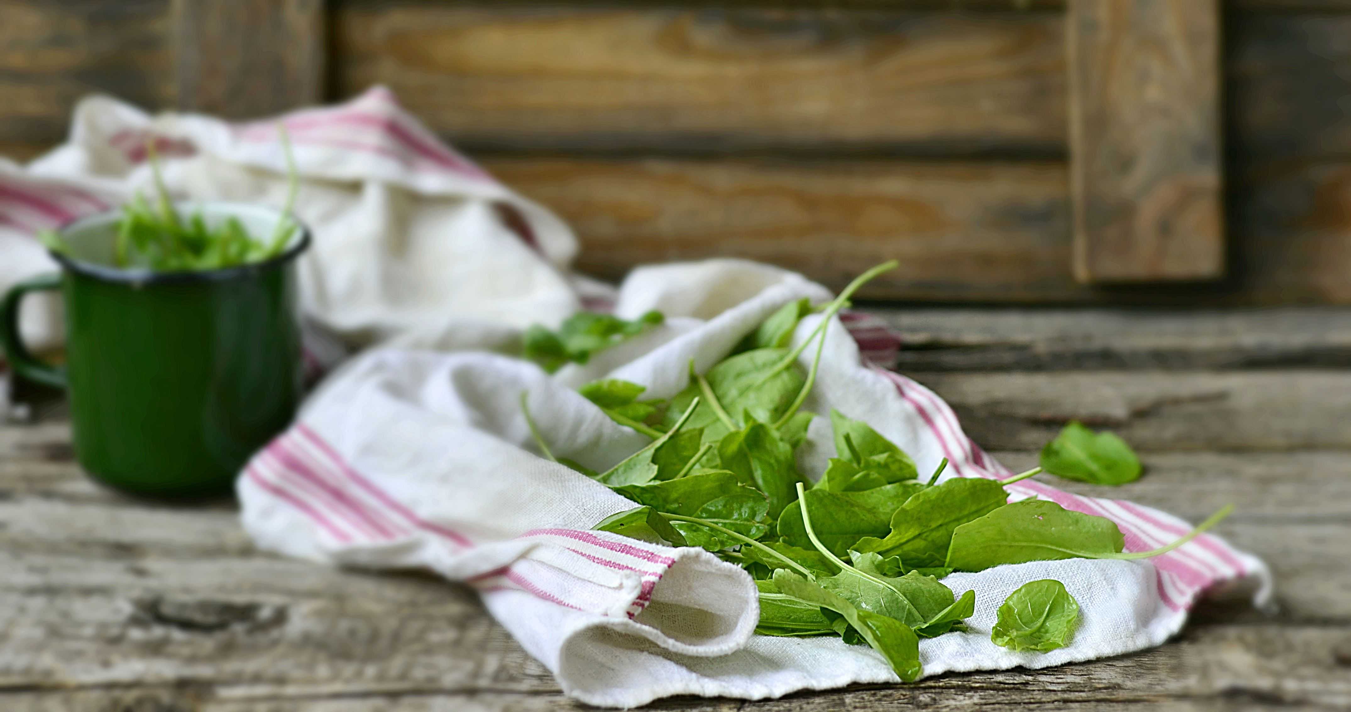 Как сохранить щавель на зиму в домашних условиях свежим и вкусным: что для этого нужно, какие сорта лучше всего подойдут и как понять, что продукт испортился?