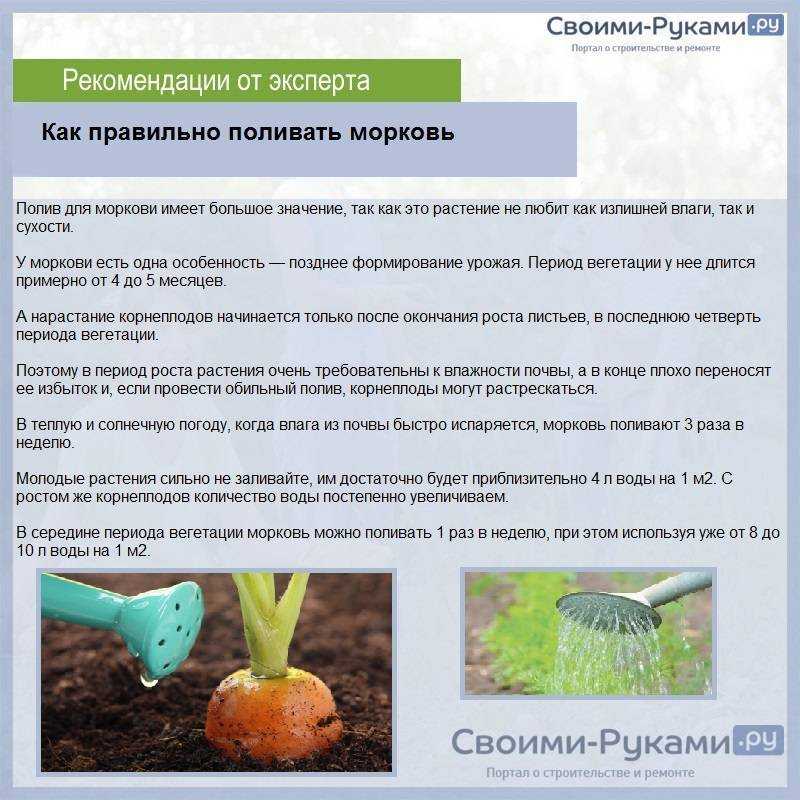 Мочевина способ применения нормы и рекомендации