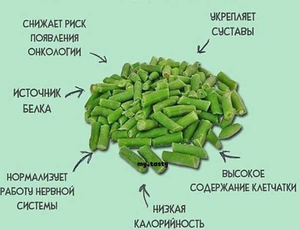 Спаржевая фасоль - польза и вред для организма