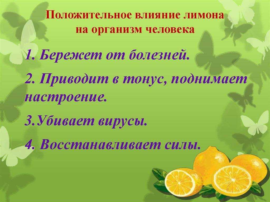Что произойдет с организмом, если каждый день есть лимон