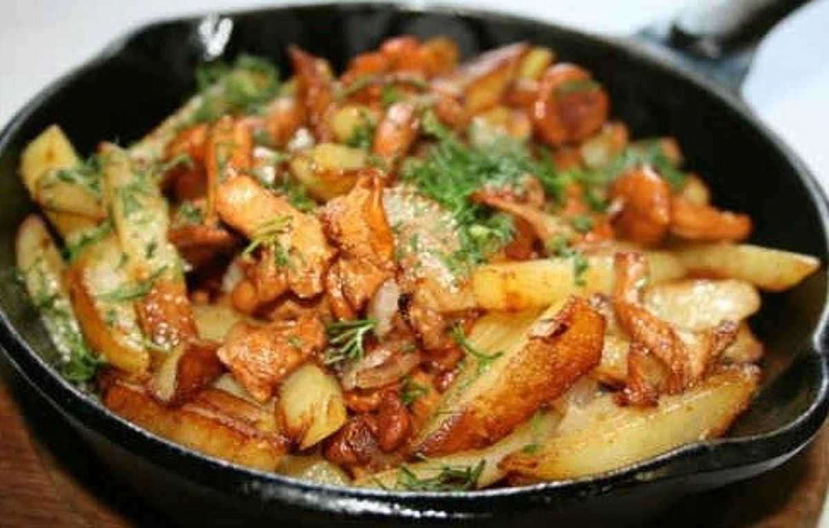 Лисички с картошкой жареные в мультиварке.  простой и вкусный рецепт: лисички жареные в мультиварке
