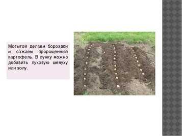 Чем делать бороздки на грядке для посадки семян - огород - мой смысл жизни