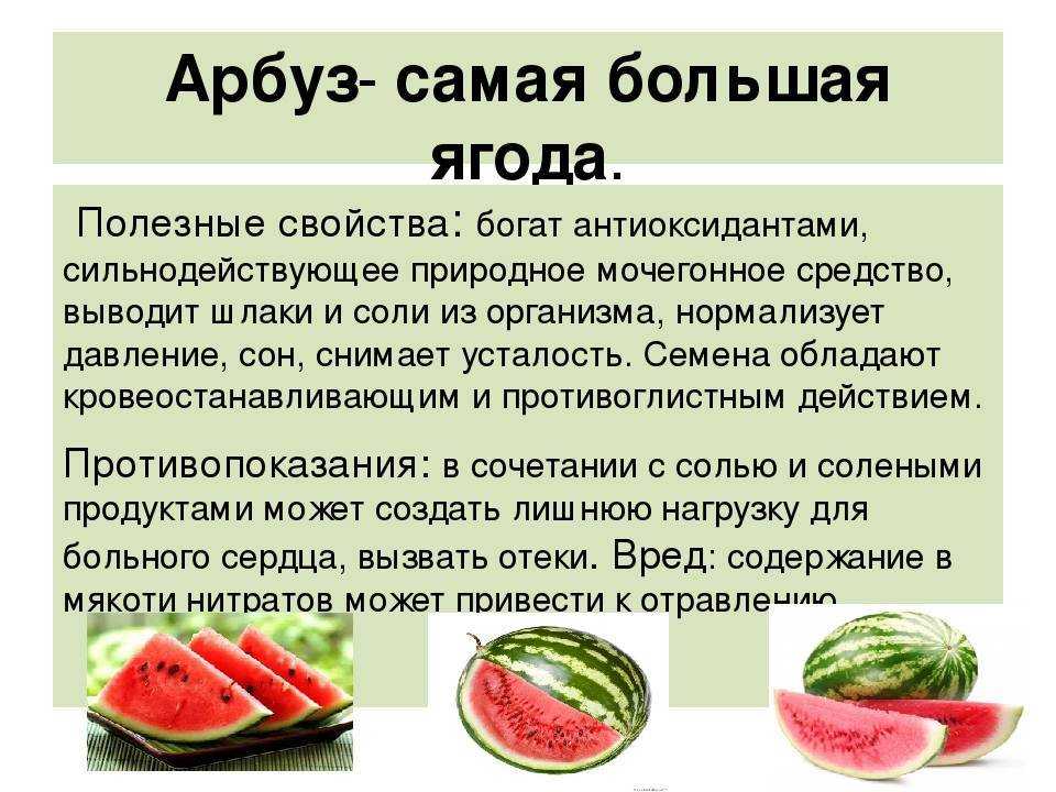 Арбуз: состав, польза и вред А также история появления арбуза и самые удачные способы его употребления