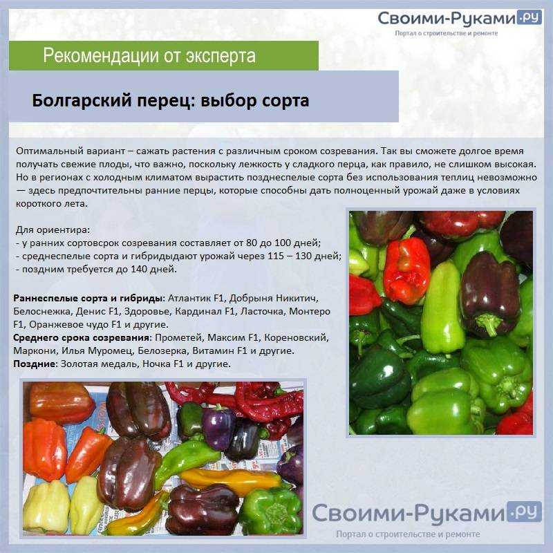 Как сохранить перец на зиму в домашних условиях