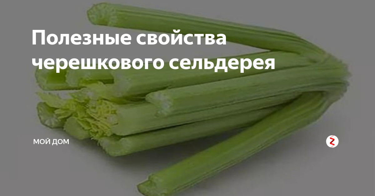 Как хранить корневой сельдерей на зиму, а также черешковый