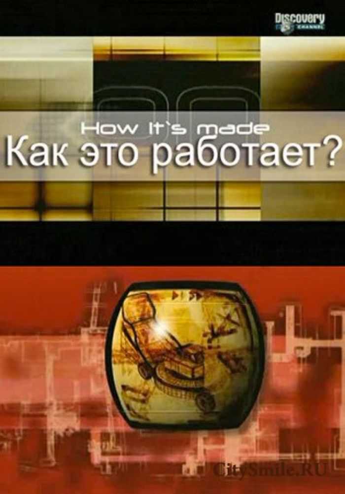 Накормить нуждающихся, спасти тонны еды и улучшить экологию: для чего власти взялись за развитие фудшеринга