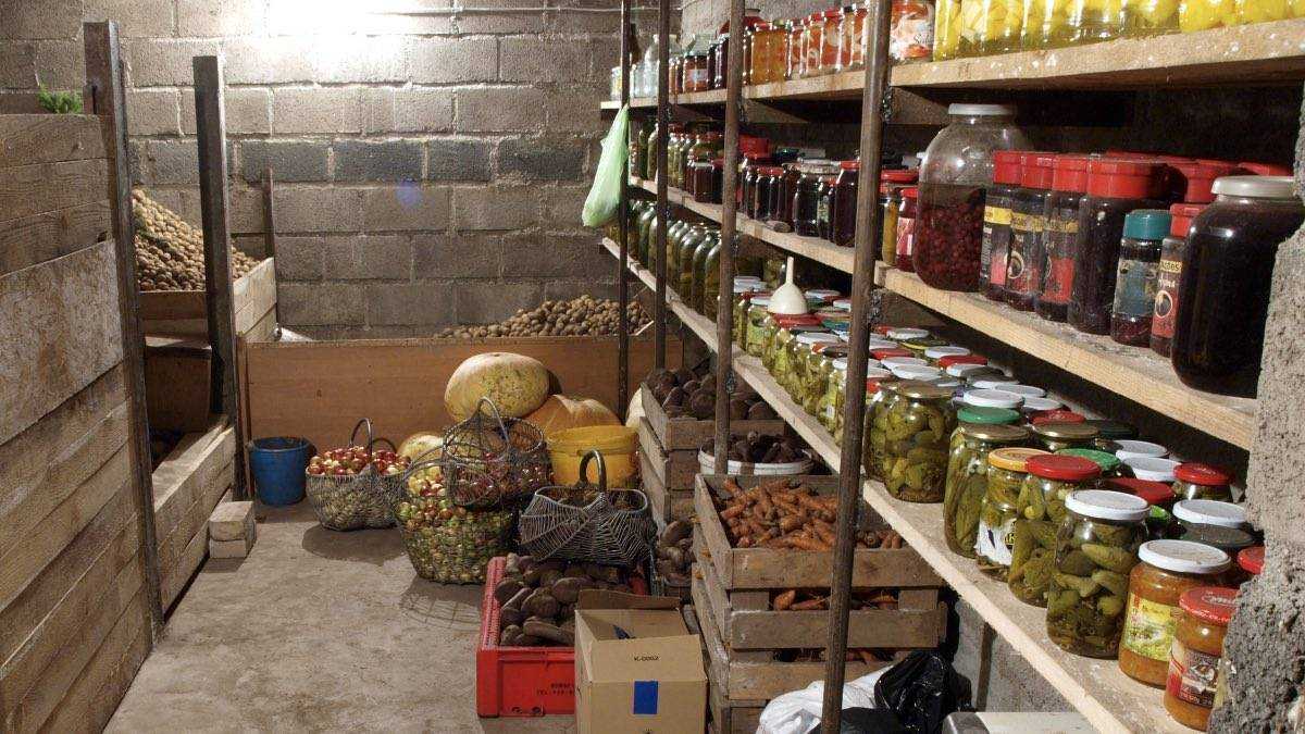 Как хранить редьку зимой в погребе и дома — лучшие способы