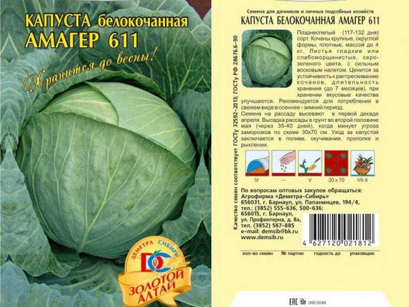 Самые ранние сорта капусты