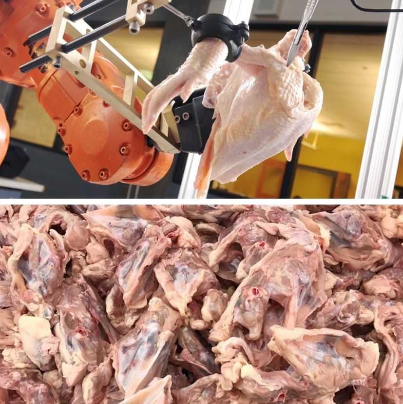 Можно ли есть мясо механической обвалки. мифы и правда об использовании мяса механической обвалки в пище