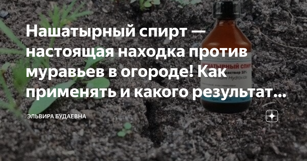 Как народными средствами бороться с муравьями в саду