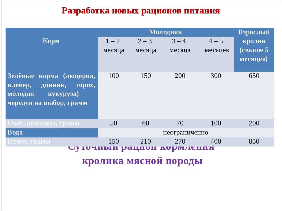 Можно ли давать кроликам листья хрена: сколько и как кормить?